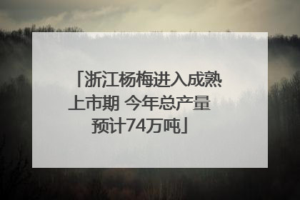 浙江杨梅进入成熟上市期 今年总产量预计74万吨