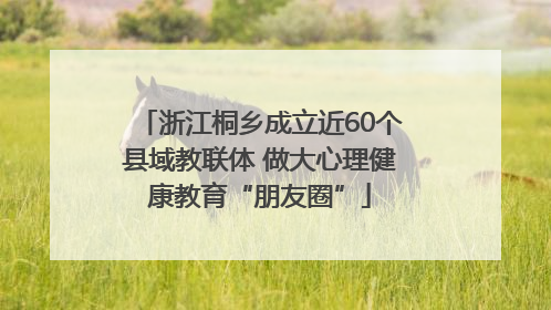 浙江桐乡成立近60个县域教联体 做大心理健康教育“朋友圈”