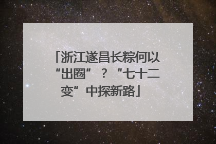 浙江遂昌长粽何以“出圈”？“七十二变”中探新路