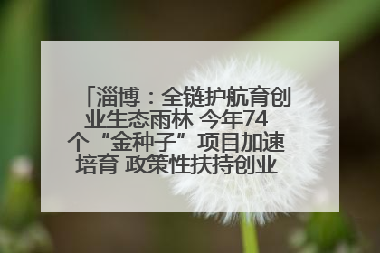 淄博：全链护航育创业生态雨林 今年74个“金种子”项目加速培育 政策性扶持创业9754人