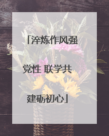 淬炼作风强党性 联学共建砺初心