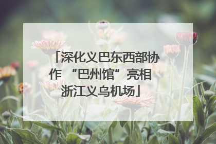 深化义巴东西部协作 “巴州馆”亮相浙江义乌机场