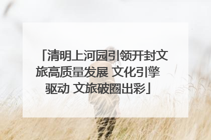 清明上河园引领开封文旅高质量发展 文化引擎驱动 文旅破圈出彩