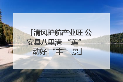 清风护航产业旺 公安县八里港 “莲” 动好 “丰” 景