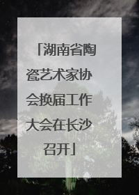 湖南省陶瓷艺术家协会换届工作大会在长沙召开