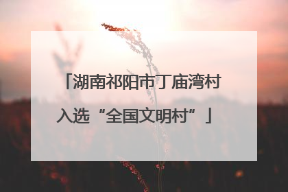 湖南祁阳市丁庙湾村入选“全国文明村”