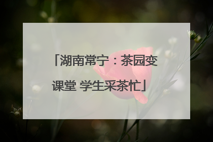湖南常宁：茶园变课堂 学生采茶忙
