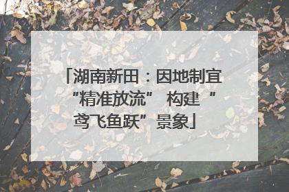 湖南新田：因地制宜“精准放流” 构建“鸢飞鱼跃”景象