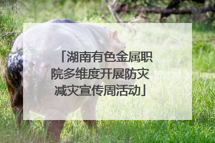 湖南有色金属职院多维度开展防灾减灾宣传周活动