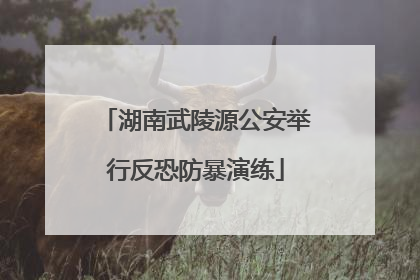 湖南武陵源公安举行反恐防暴演练