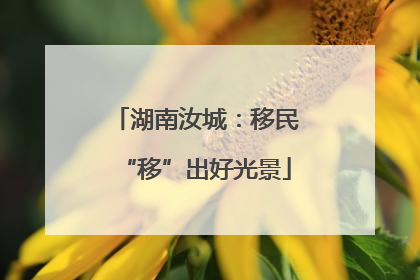 湖南汝城：移民“移”出好光景