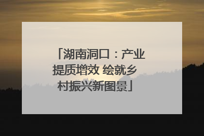 湖南洞口：产业提质增效 绘就乡村振兴新图景