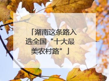 湖南这条路入选全国“十大最美农村路”