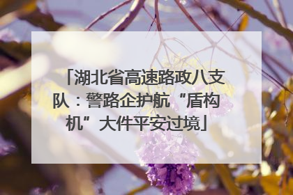 湖北省高速路政八支队：警路企护航“盾构机”大件平安过境