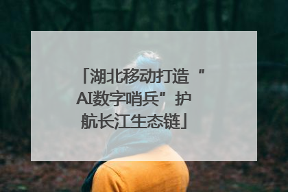 湖北移动打造“AI数字哨兵”护航长江生态链