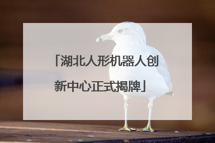 湖北人形机器人创新中心正式揭牌