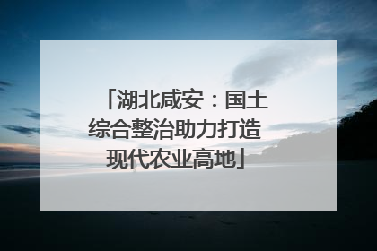 湖北咸安：国土综合整治助力打造现代农业高地