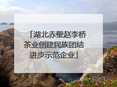 湖北赤壁赵李桥茶业创建民族团结进步示范企业