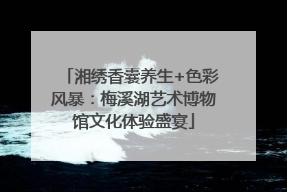 湘绣香囊养生+色彩风暴：梅溪湖艺术博物馆文化体验盛宴