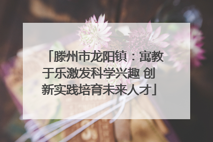 滕州市龙阳镇：寓教于乐激发科学兴趣 创新实践培育未来人才