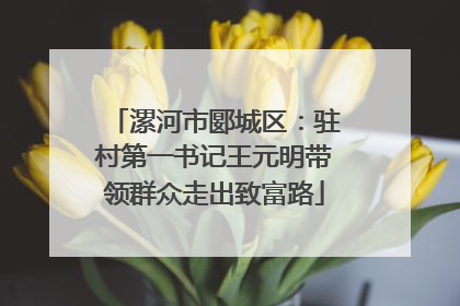 漯河市郾城区：驻村第一书记王元明带领群众走出致富路