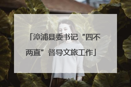 漳浦县委书记“四不两直”督导文旅工作
