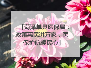 菏泽单县医保局：政策惠民进万家，医保护航暖民心