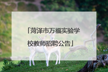 菏泽市万福实验学校教师招聘公告