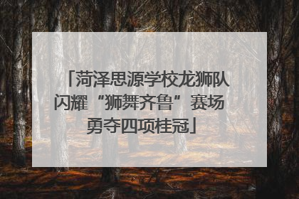 菏泽思源学校龙狮队闪耀“狮舞齐鲁”赛场 勇夺四项桂冠