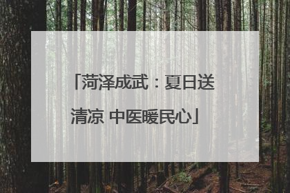 菏泽成武：夏日送清凉 中医暖民心