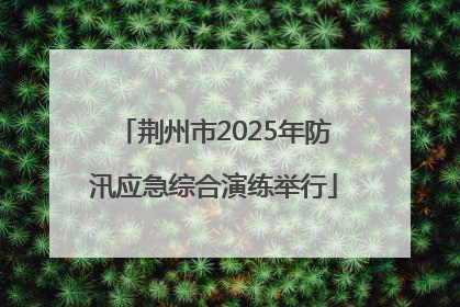 荆州市2025年防汛应急综合演练举行