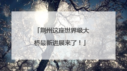 荆州这座世界级大桥最新进展来了！