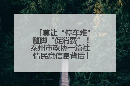 莫让“停车难”蹩脚“促消费”！泰州市政协一篇社情民意信息背后