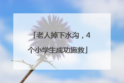 老人掉下水沟，4个小学生成功施救