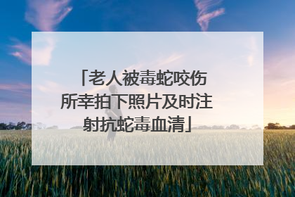 老人被毒蛇咬伤 所幸拍下照片及时注射抗蛇毒血清