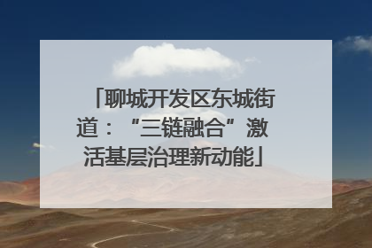 聊城开发区东城街道：“三链融合”激活基层治理新动能