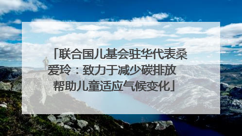 联合国儿基会驻华代表桑爱玲：致力于减少碳排放 帮助儿童适应气候变化