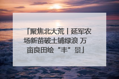 聚焦北大荒丨延军农场新苗破土铺绿浪 万亩良田绘“丰”景