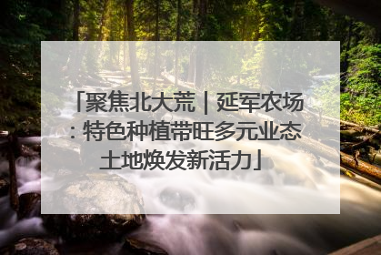 聚焦北大荒｜延军农场：特色种植带旺多元业态 土地焕发新活力
