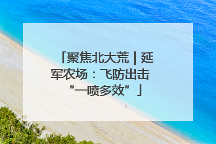 聚焦北大荒｜延军农场：飞防出击 “一喷多效”