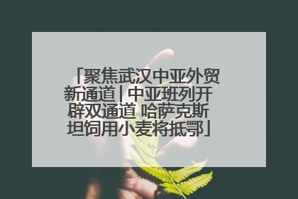 聚焦武汉中亚外贸新通道│中亚班列开辟双通道 哈萨克斯坦饲用小麦将抵鄂
