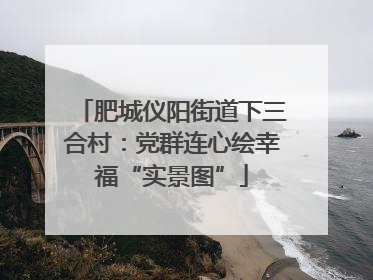 肥城仪阳街道下三合村：党群连心绘幸福“实景图”