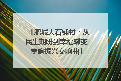 肥城大石铺村：从民生期盼到幸福蝶变奏响振兴交响曲