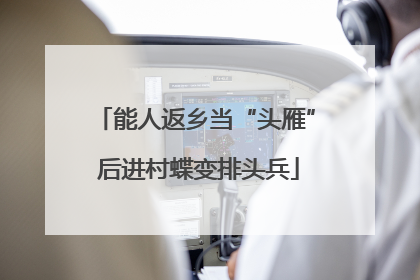 能人返乡当“头雁” 后进村蝶变排头兵