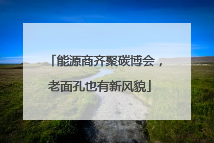 能源商齐聚碳博会，老面孔也有新风貌