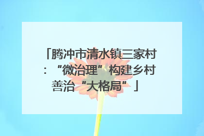 腾冲市清水镇三家村：“微治理”构建乡村善治“大格局”