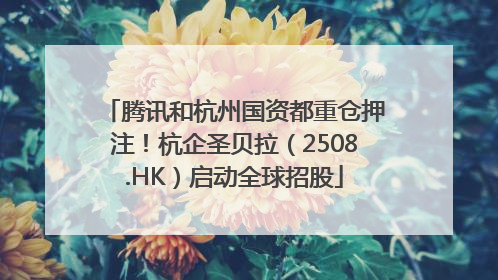 腾讯和杭州国资都重仓押注！杭企圣贝拉（2508.HK）启动全球招股