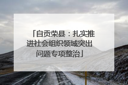 自贡荣县：扎实推进社会组织领域突出问题专项整治
