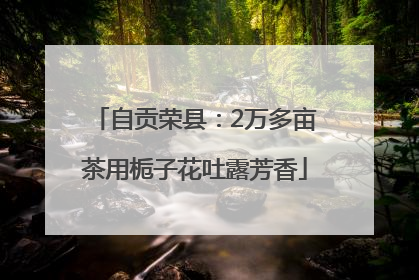 自贡荣县：2万多亩茶用栀子花吐露芳香