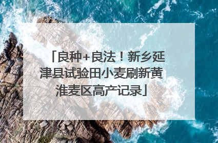 良种+良法！新乡延津县试验田小麦刷新黄淮麦区高产记录